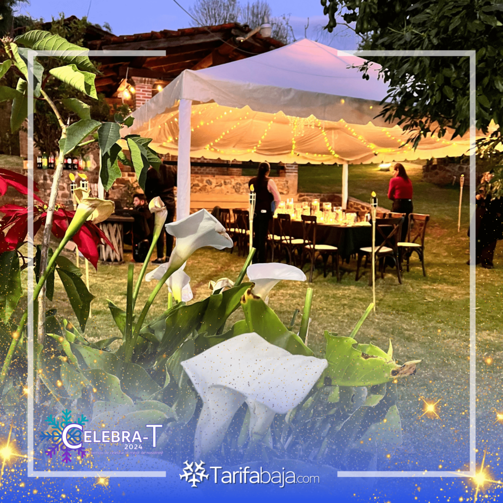 CELEBRA-T 2024, an unforgettable event full of special moments.
