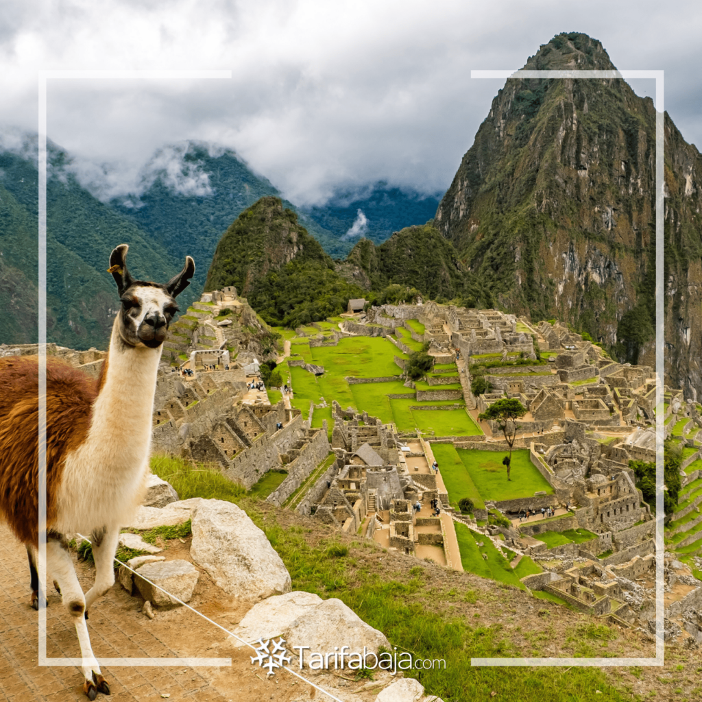 Machu Picchu ruins