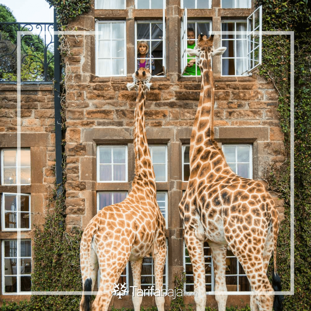 5 Amazing Hotels Around the World You Need to Know