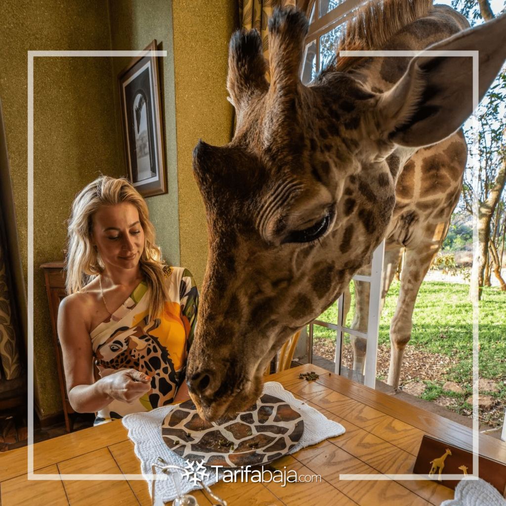 5 Amazing Hotels Around the World You Need to Know