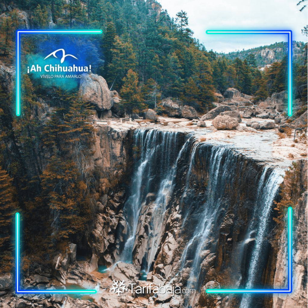 Copper Canyon: An unforgettable journey through the heart of the Sierra Tarahumara