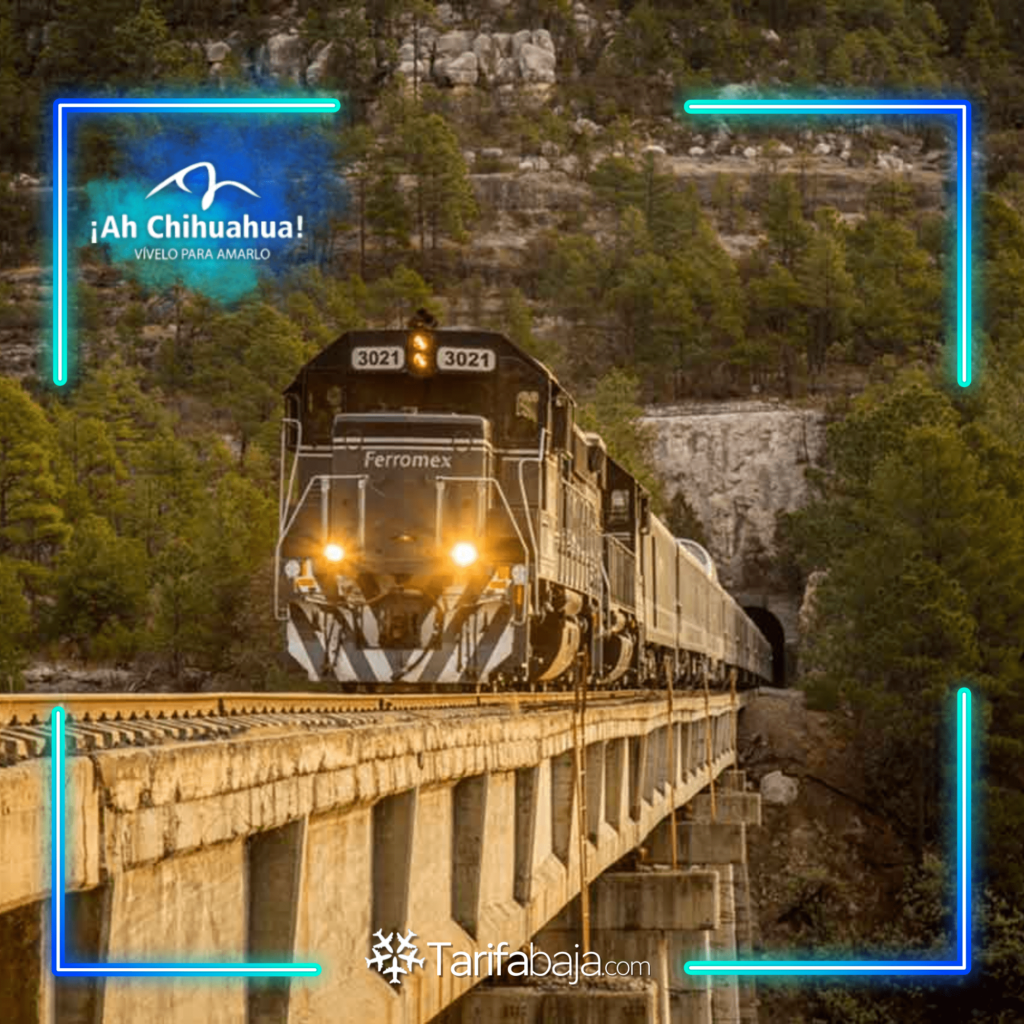 Copper Canyon: An unforgettable journey through the heart of the Sierra Tarahumara
