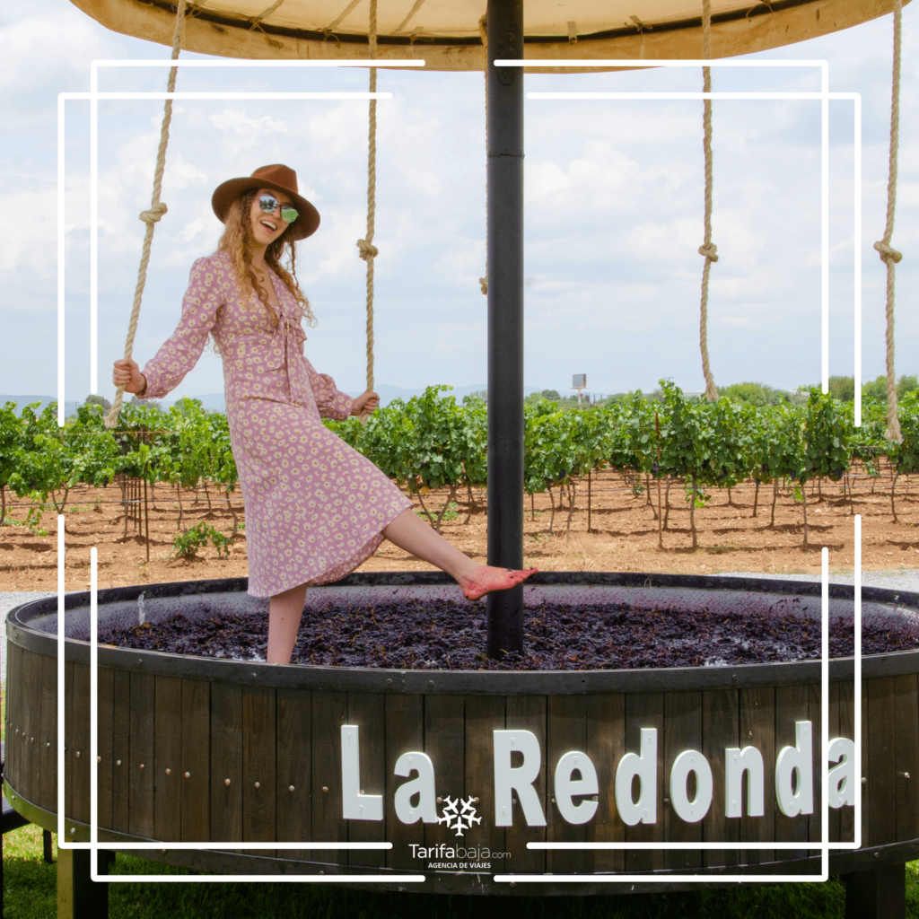 Things to do in Querétaro!