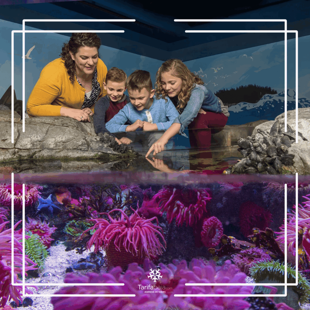 SEA LIFE Aquarium exhibits