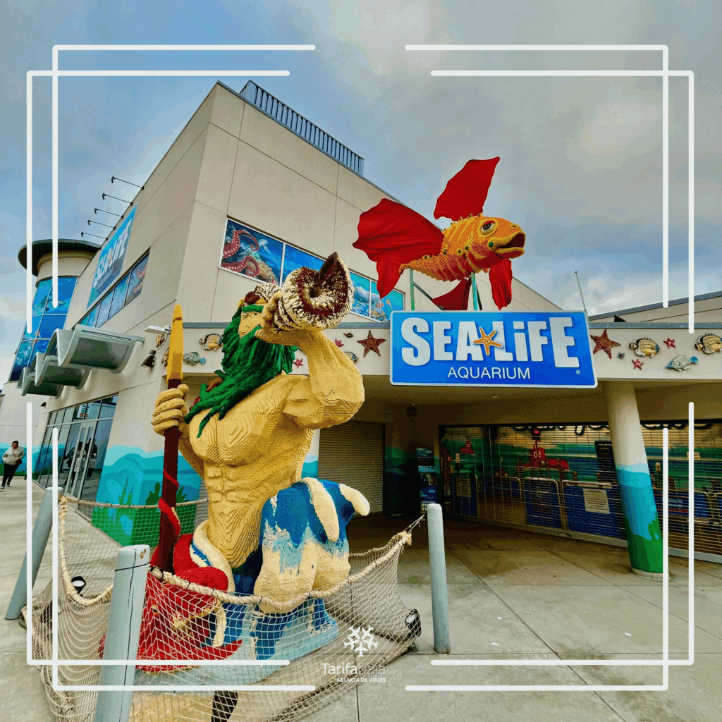 Sea creatures at SEA LIFE Aquarium