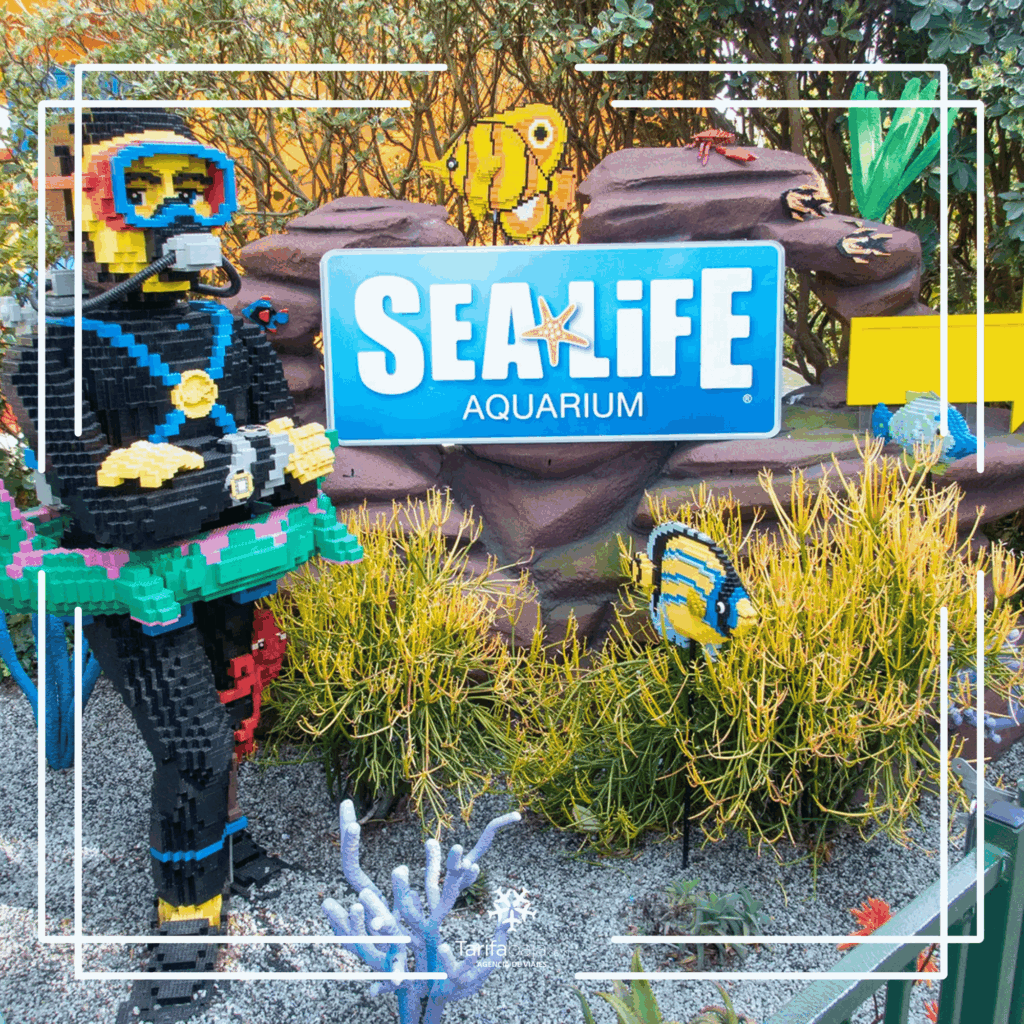 SEA LIFE Aquarium at LEGOLAND California