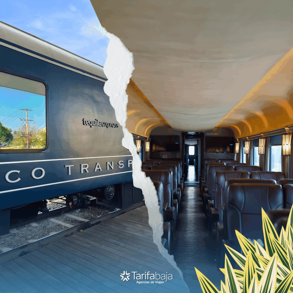 Live mariachi on board the Tequila Express