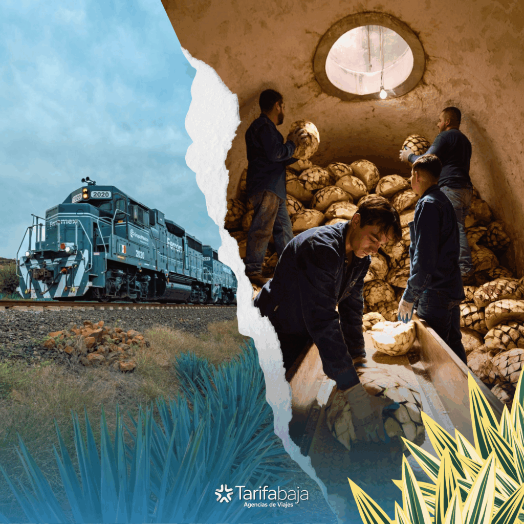 Tequila Express experience with Tarifabaja