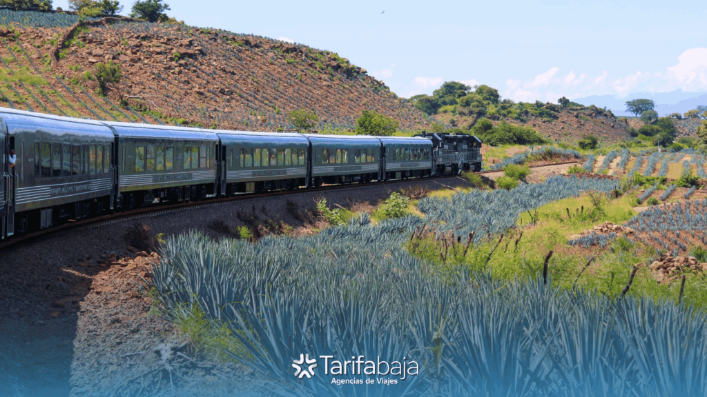 Tequila Express train