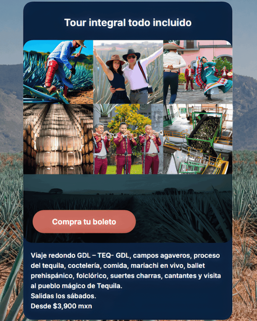 All-inclusive train trip