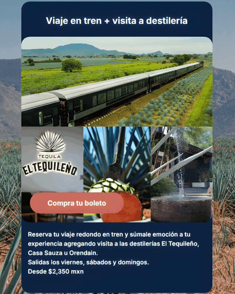 Train trip and visit
