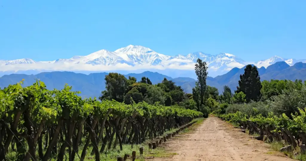 Buenos Aires y Mendoza con vuelos internos, foto 2 de 7
