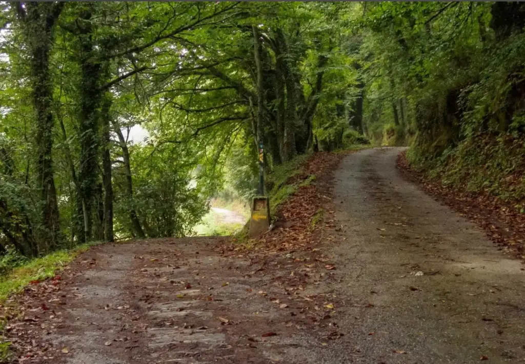Camino de Santiago a pie: de Sarria a Santiago de Compostela, photo 3 of 10