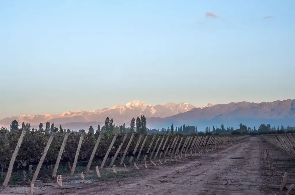 Buenos Aires y Mendoza con vuelos internos, foto 3 de 7